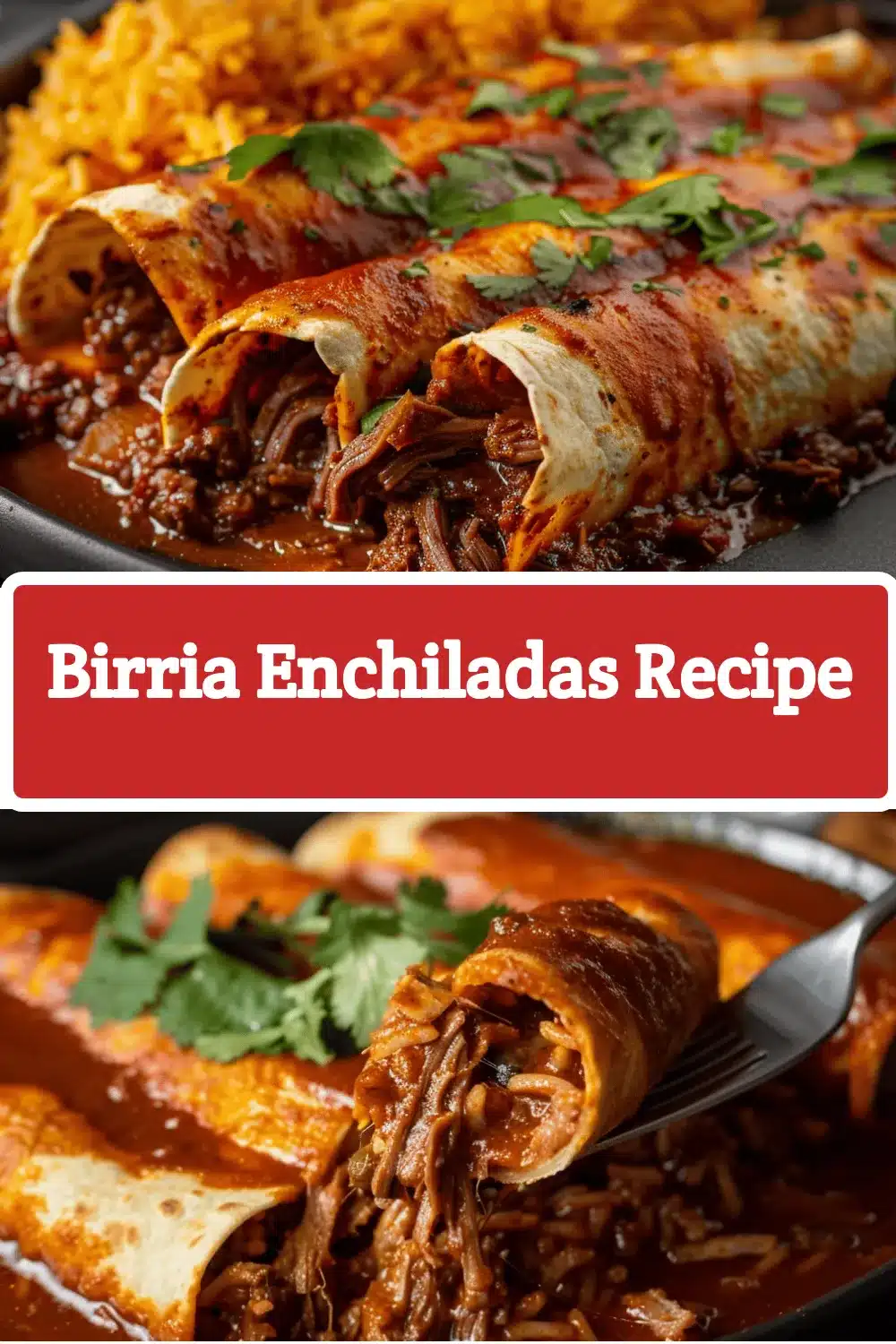birria enchiladas recipe