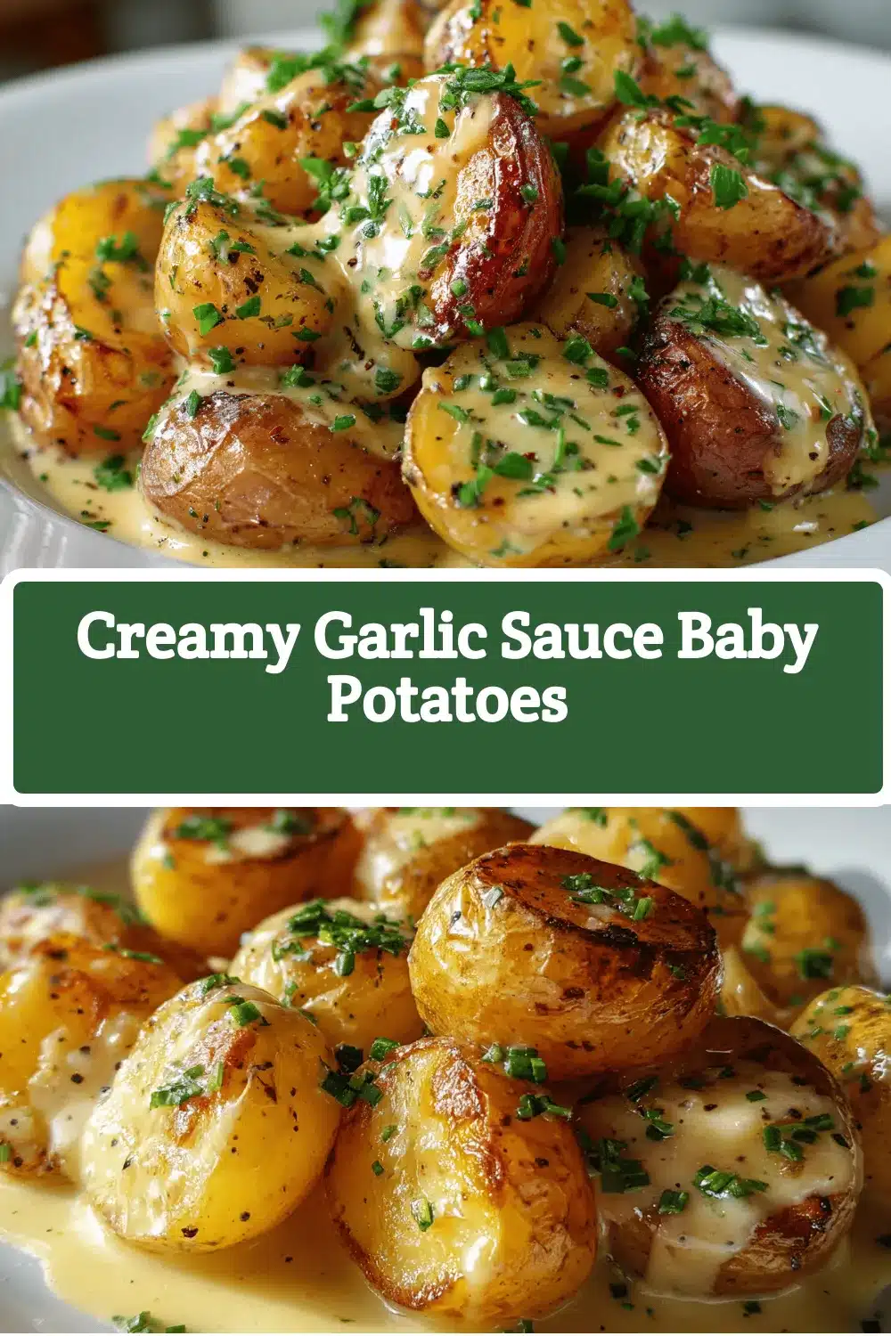 creamy garlic sauce baby potatoes recipe